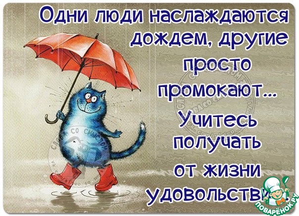 Котики-мем